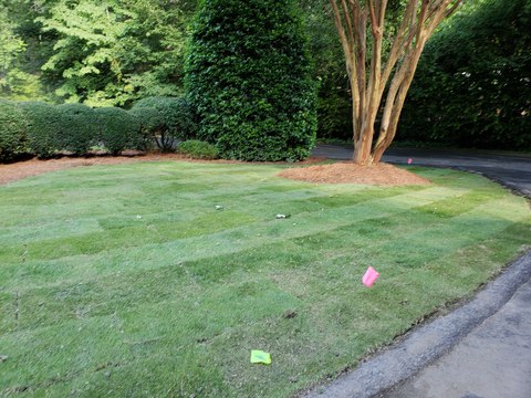 Sod Installation